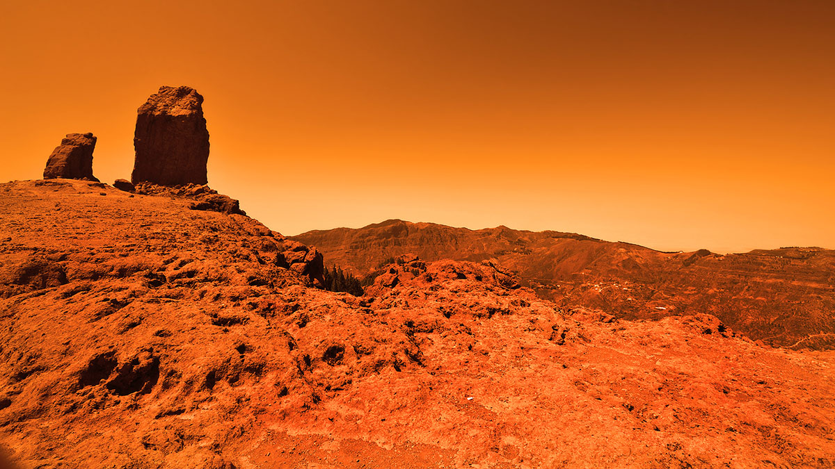 Så er beviset her endeligt: Der findes store sandorme på Mars